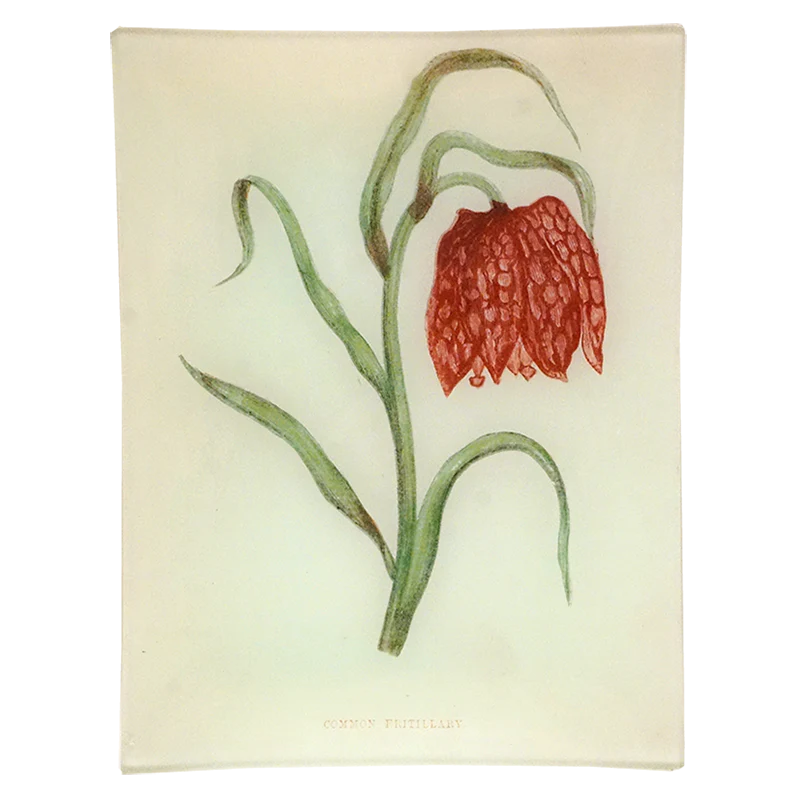 Front of Fritillary Flower Tray