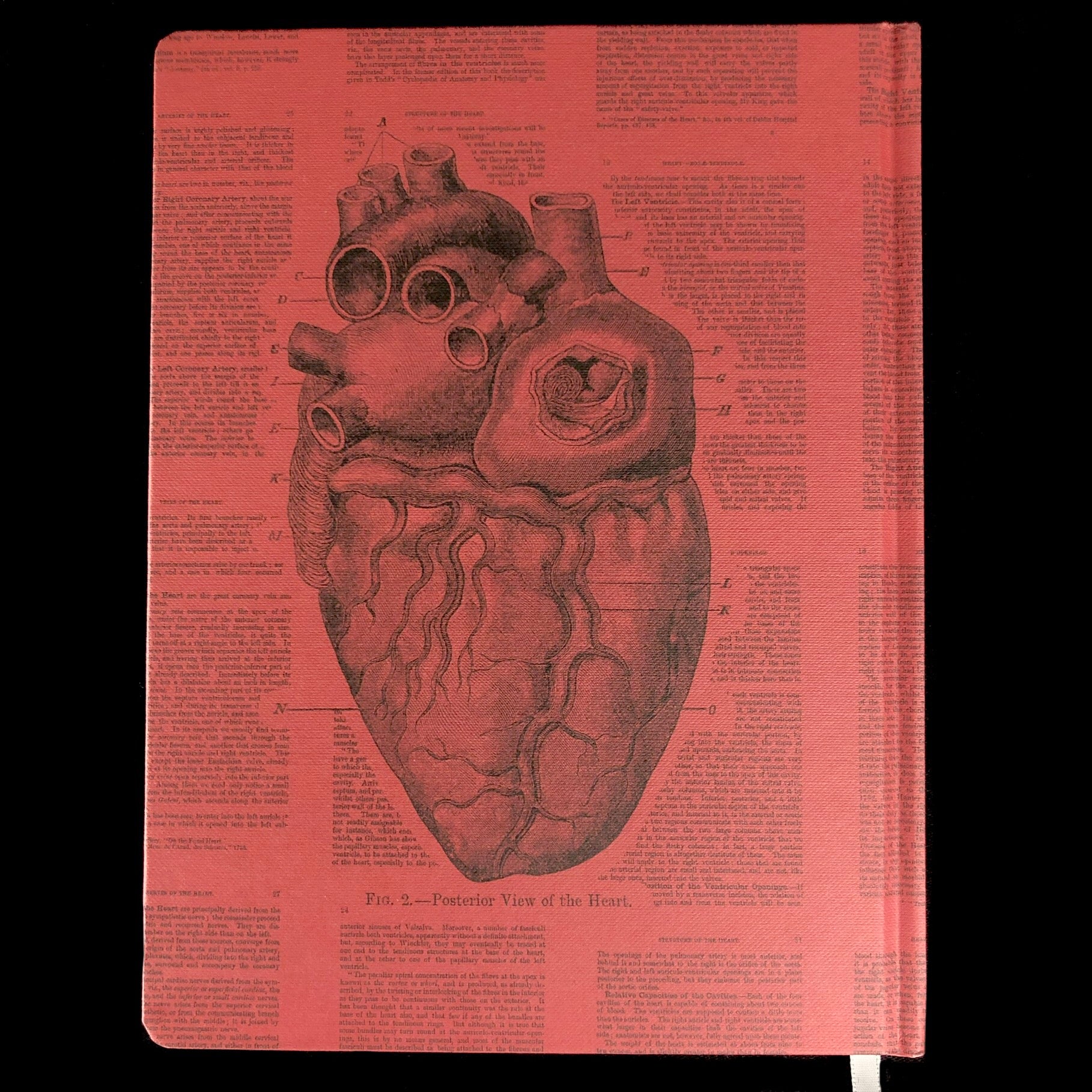 Back cover of Anatomical Heart Hardcover Notebook