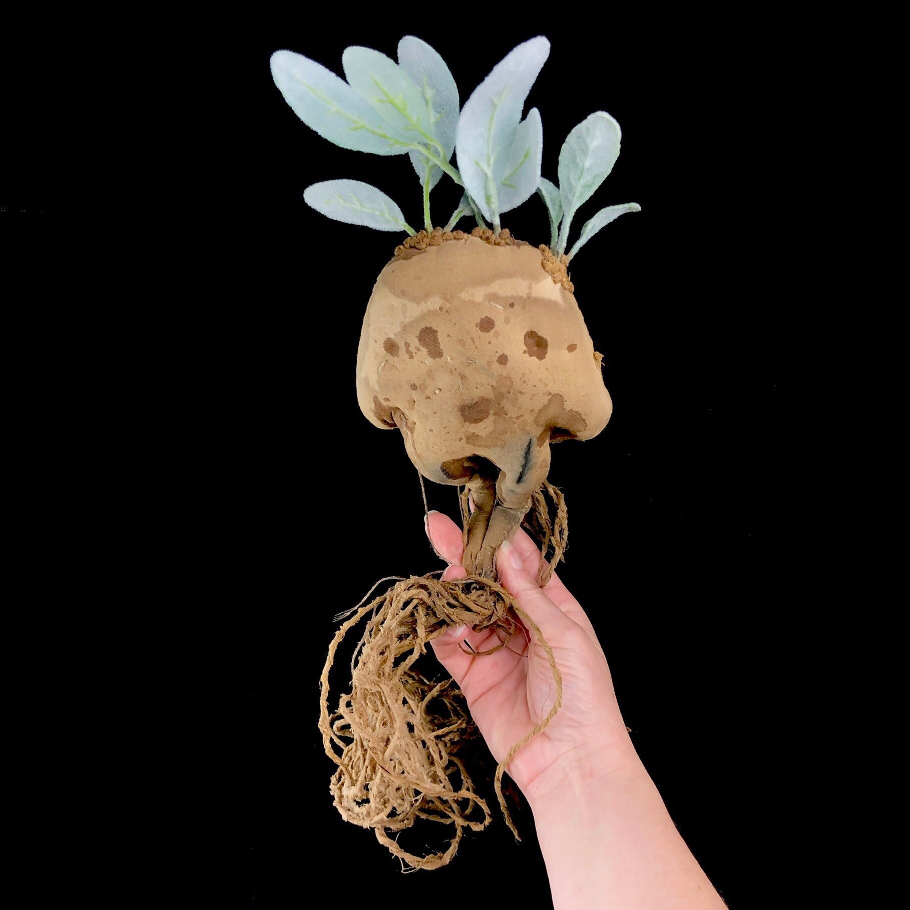 Back view of brown rootlike creature with green leaves on its head 