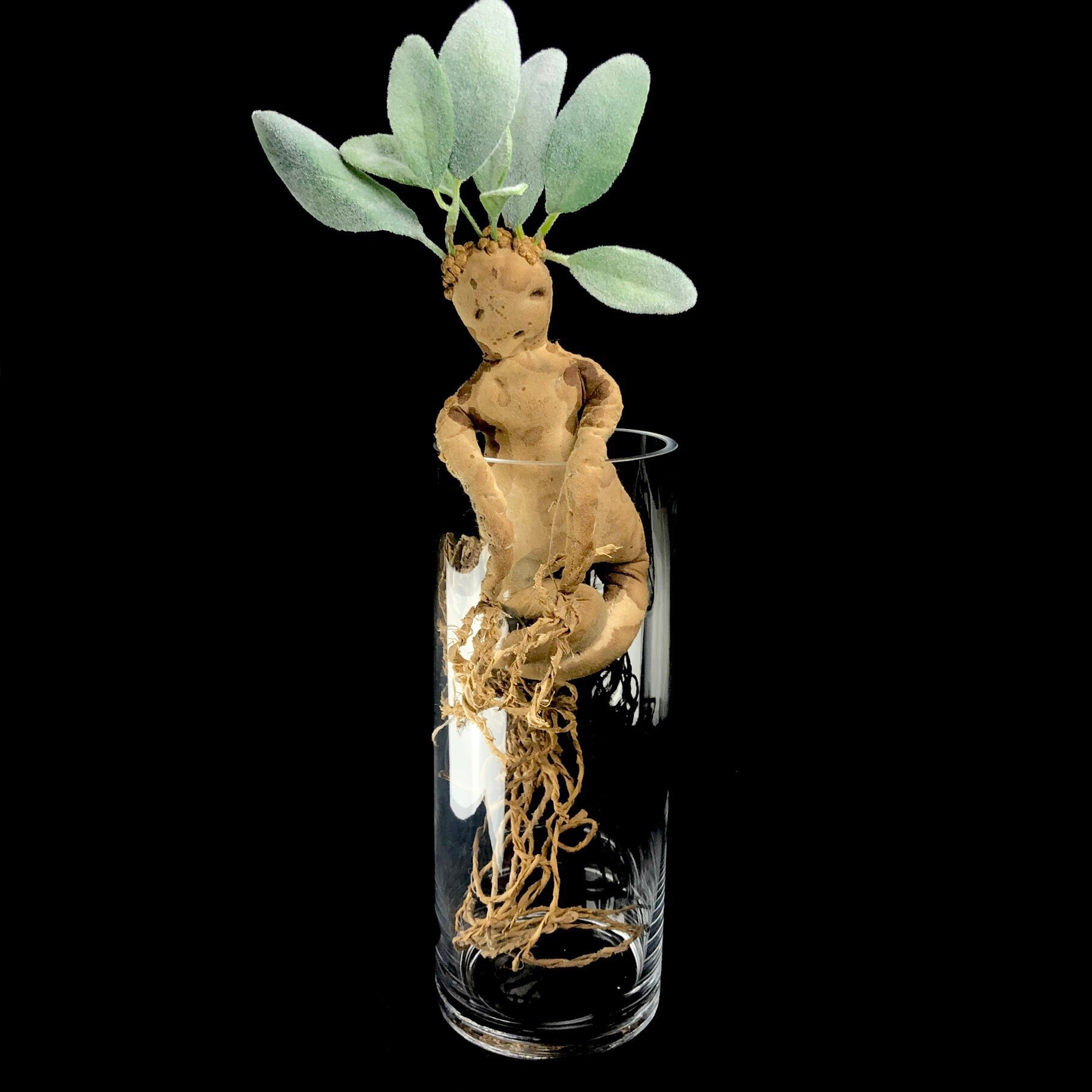Brown rootlike creature with green leaves coming from its head in glass jar 
