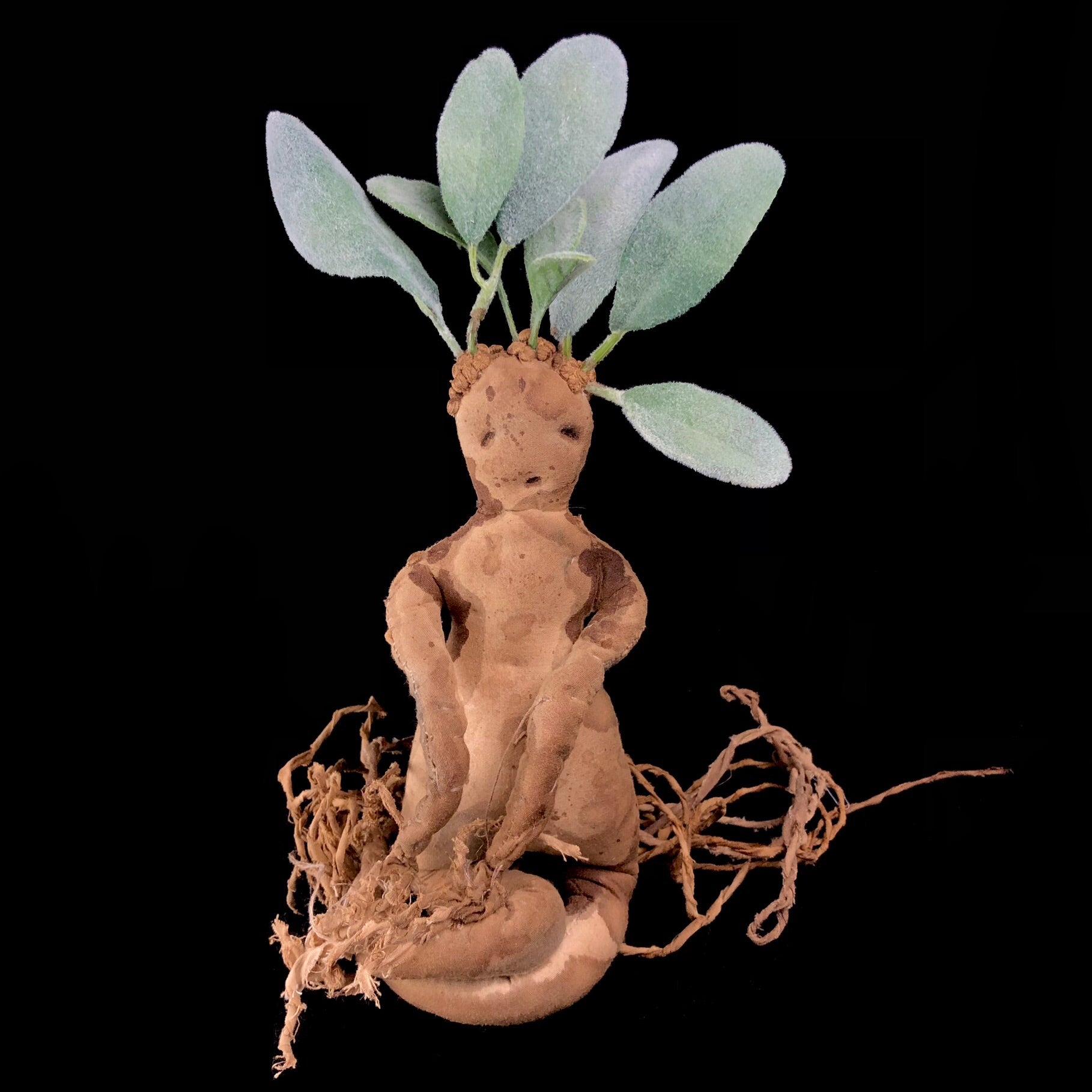 Front view of brown rootlike creature with green leaves on its head 