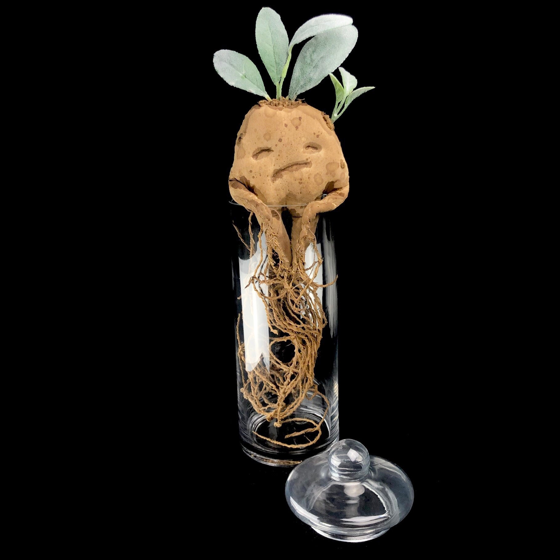 Brown rootlike creature with green leaves on its head in glass jar 