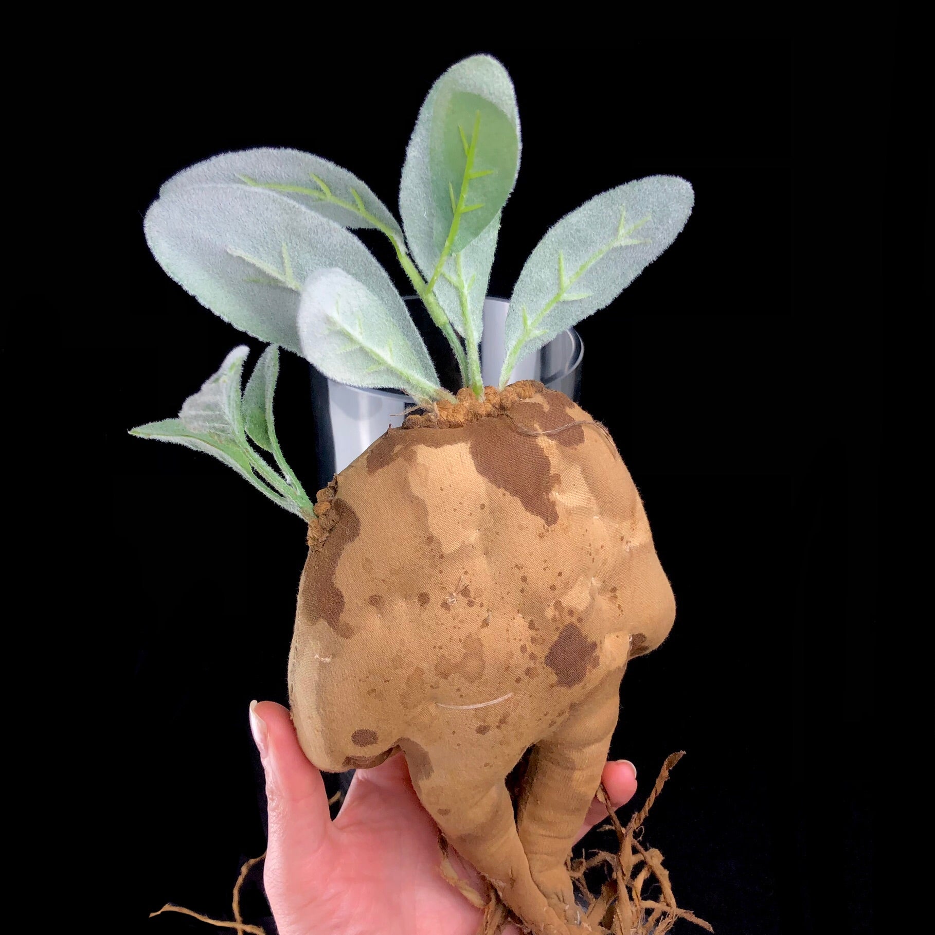 Back view of brown rootlike creature with green leaves on its head 