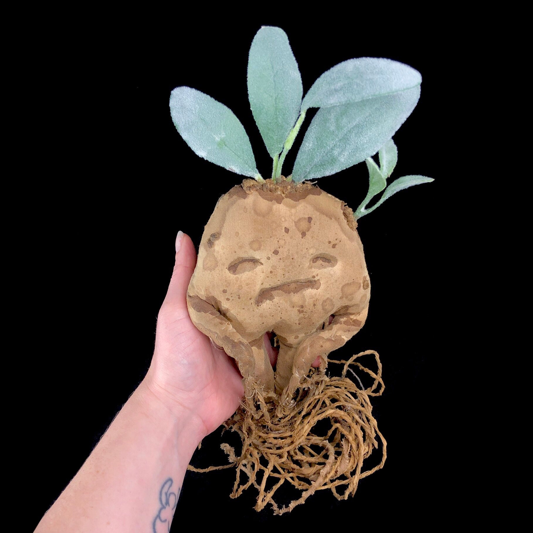 Brown rootlike creature with green leaves on its head shown in hand 