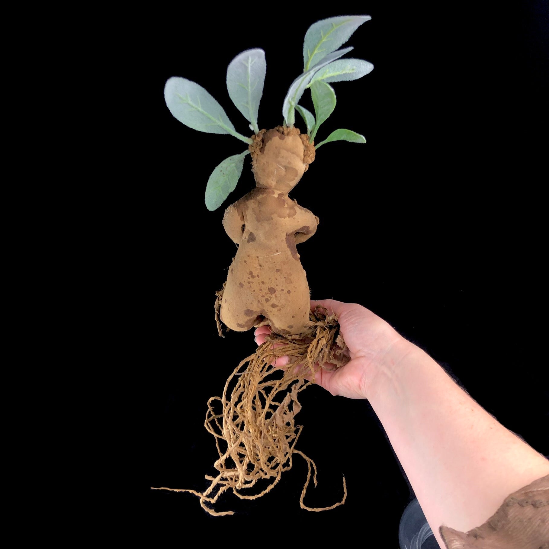Back view of brown rootlike creature with green leaves on its head 