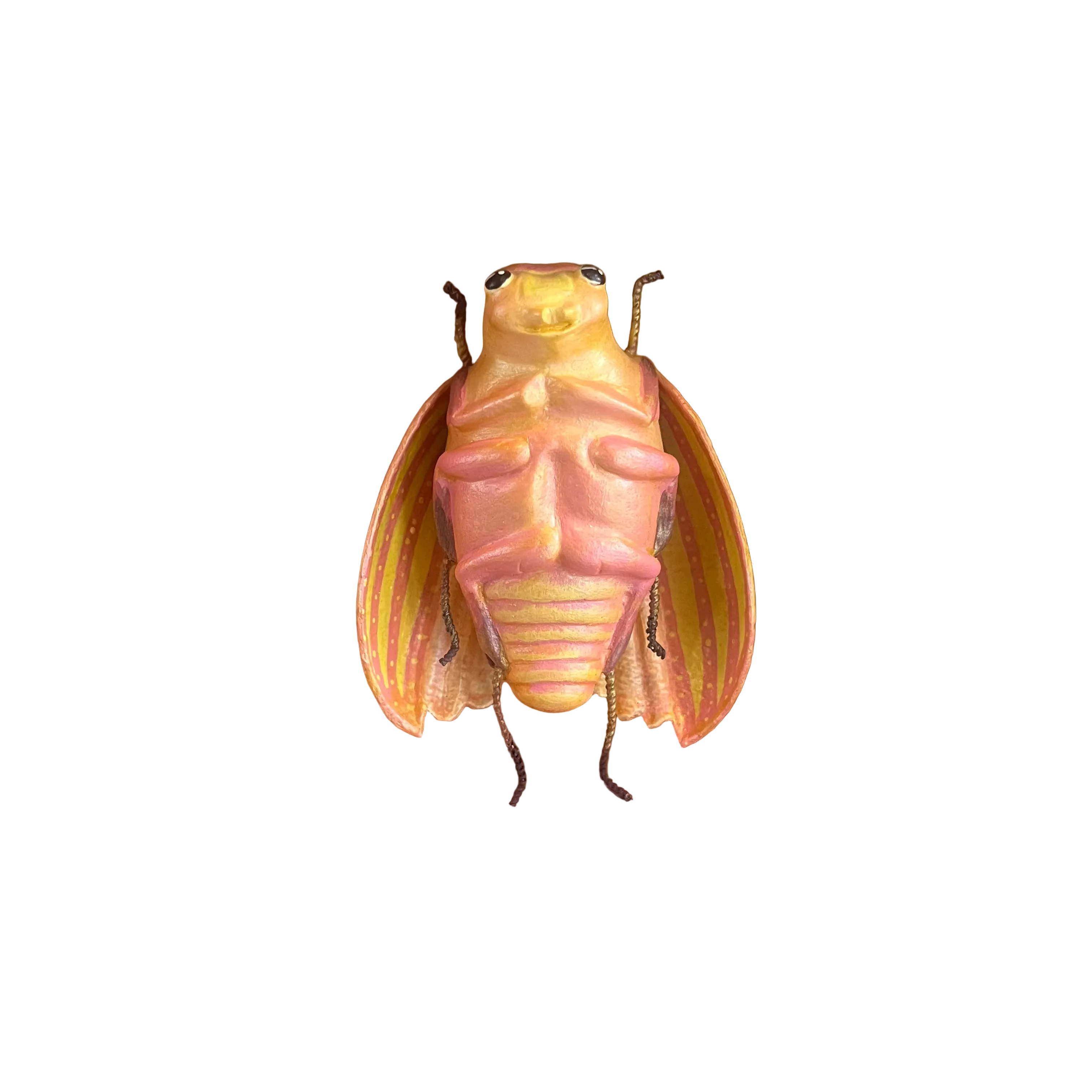 Pink and Yellow Bug Box