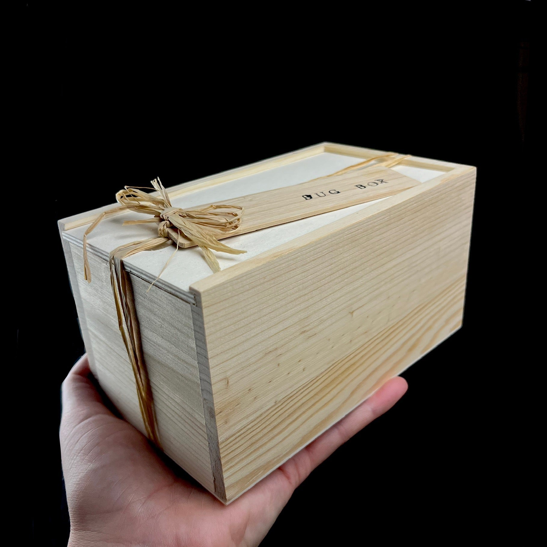 Bug Boxes