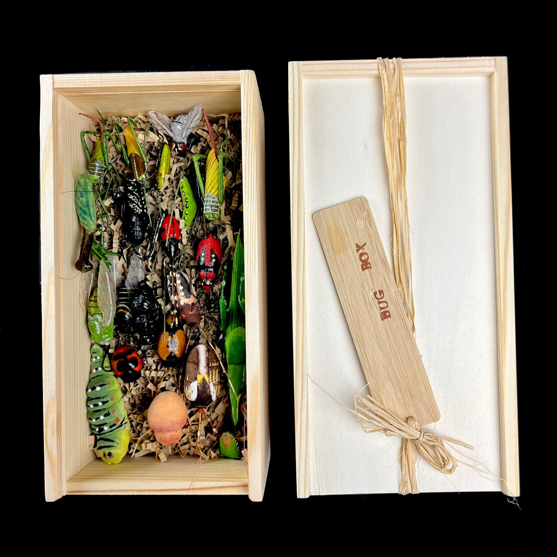 Bug Boxes