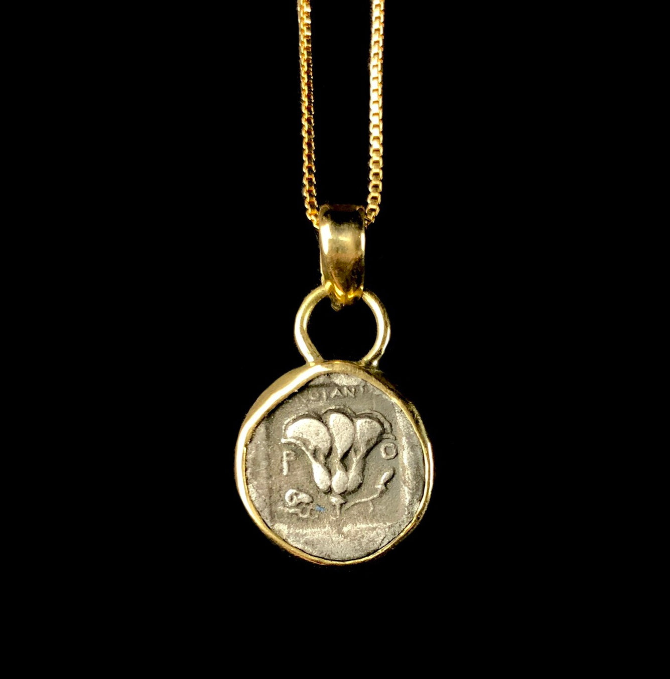 Rose bud imprint on obverse side of Helios Coin Pendent