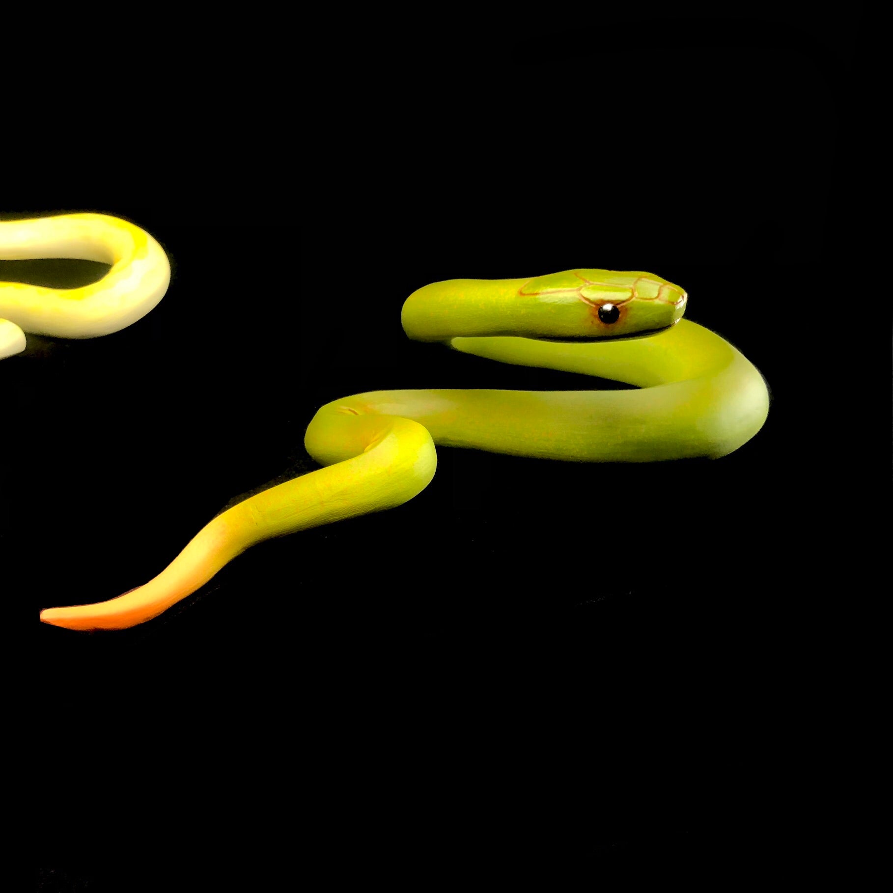 Snake Side View