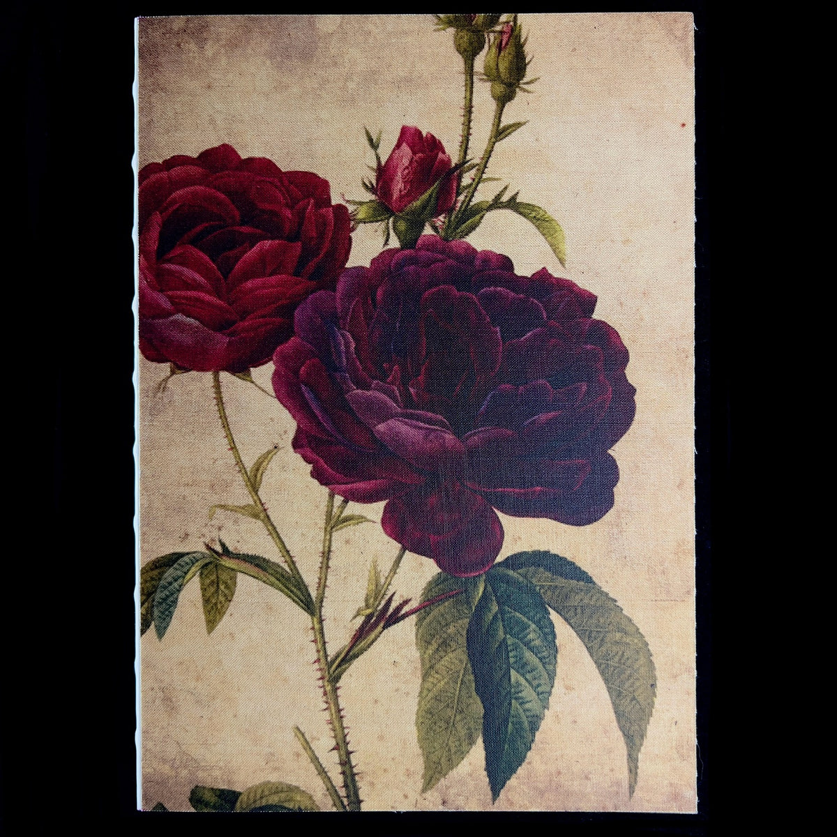 Front cover of Rose Journal