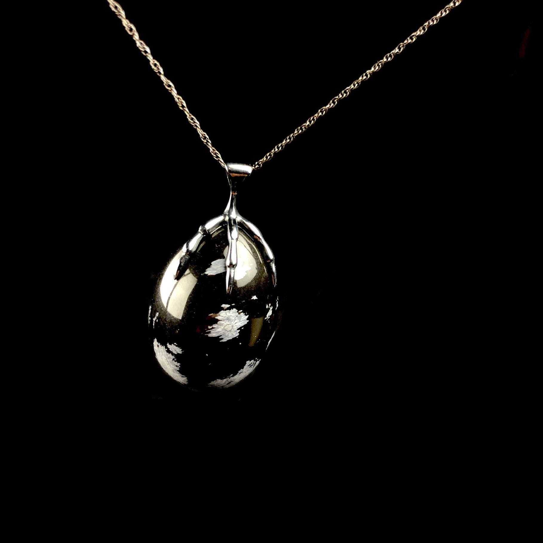Black Egg Shaped stone held by a bird claw on black chain