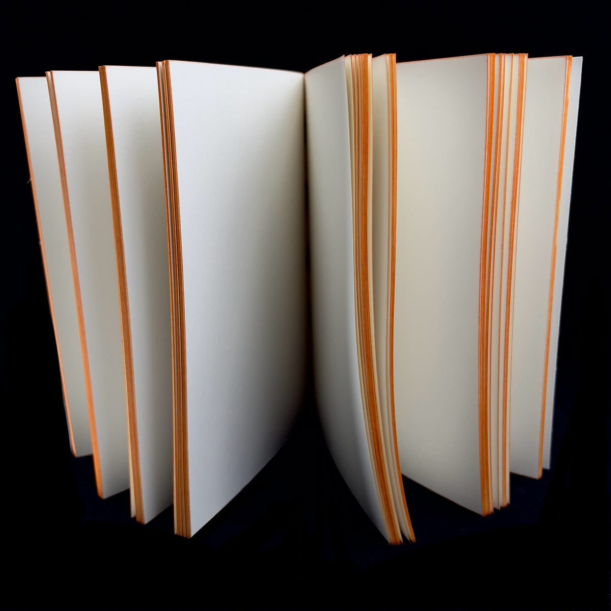 Open Cat journal with black pages