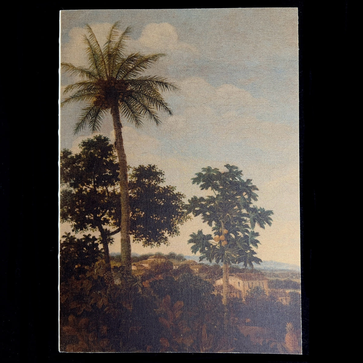 Front cover of Palm Tree Journal