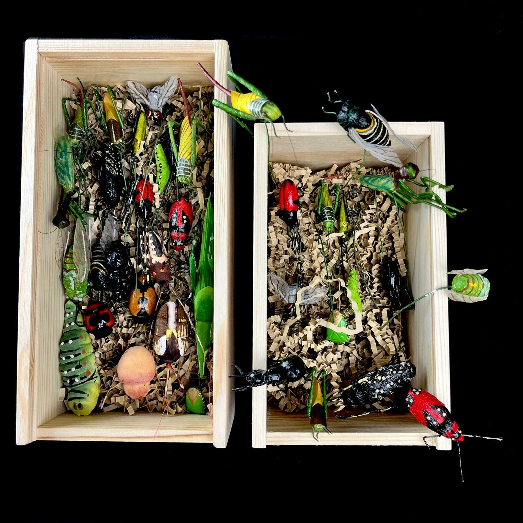 Two wooden boxes filled with colorful model insects on a black background