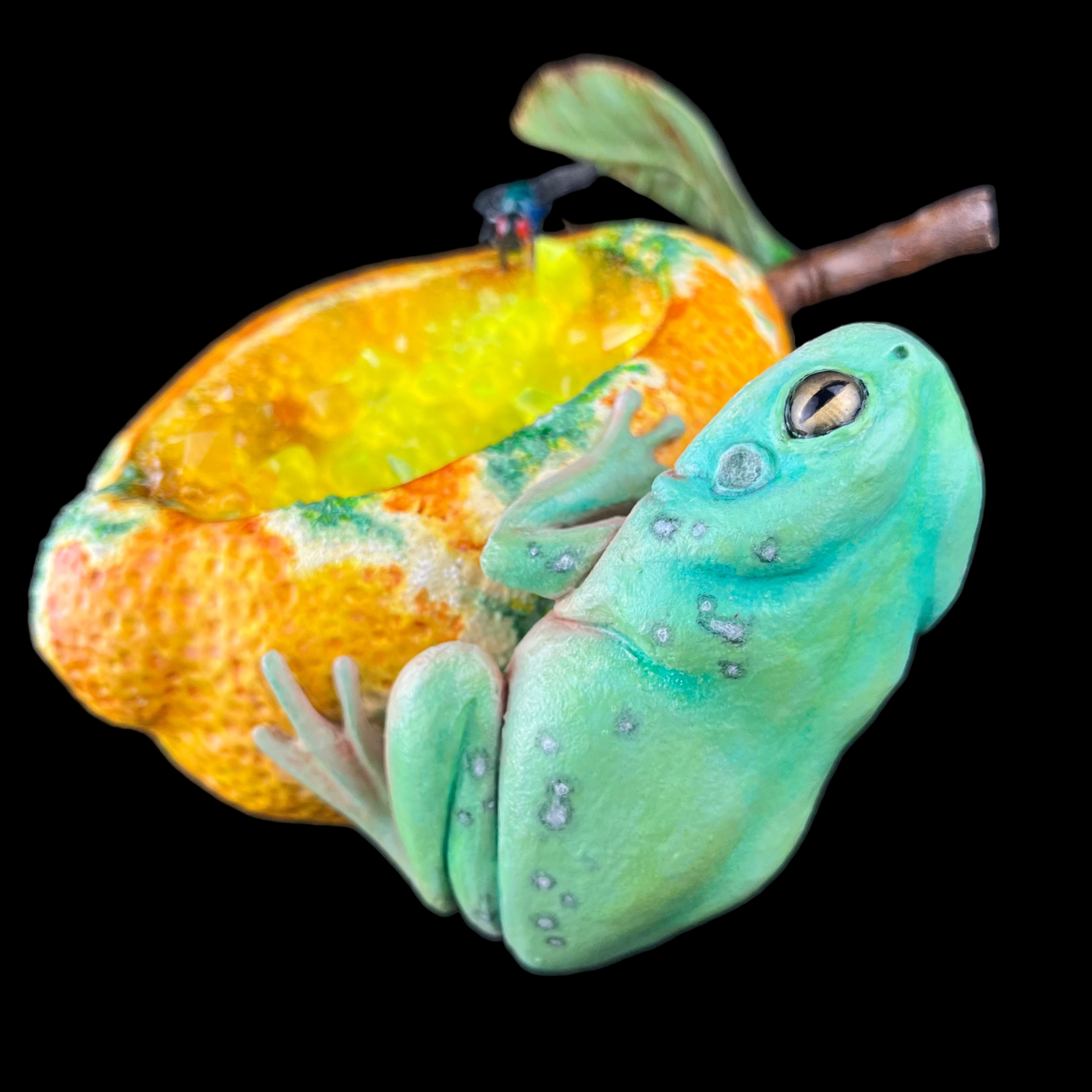 Green frog on a yellow fruit with a black background