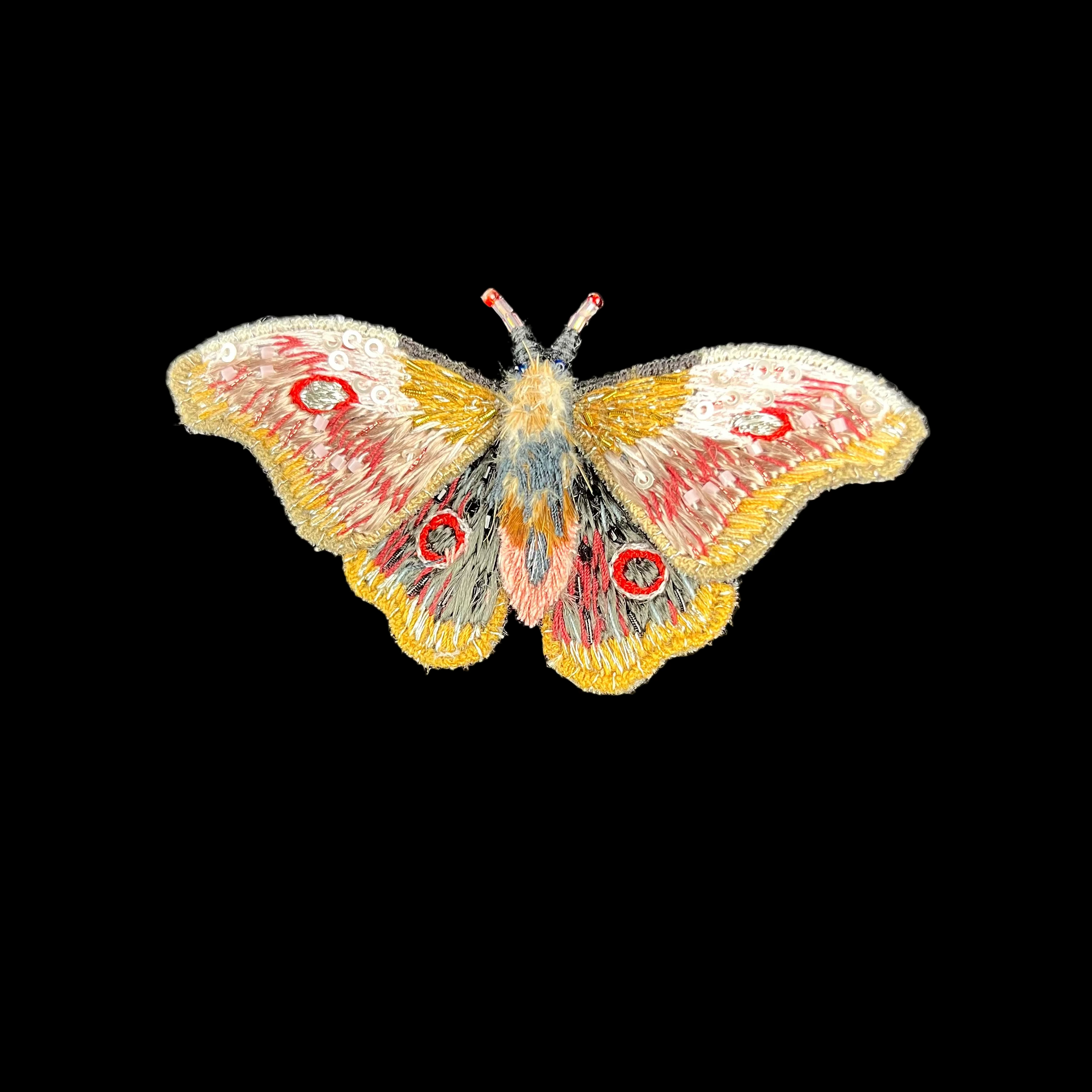 Colorful butterfly illustration on a black background