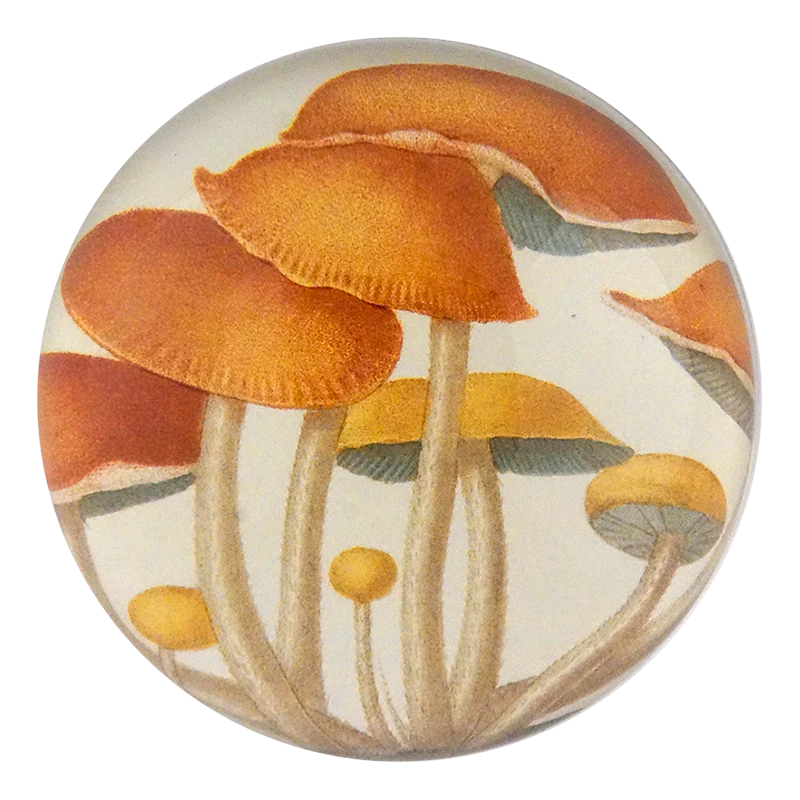 Decorative knob with mushroom design on a white background