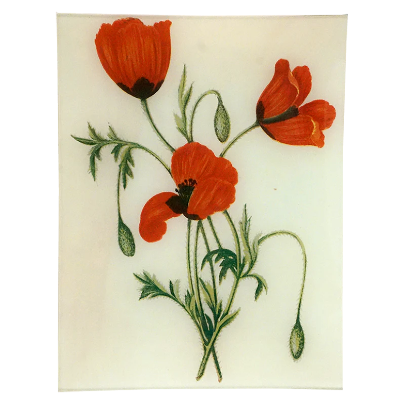 Front of Red Poppy Flower Tray