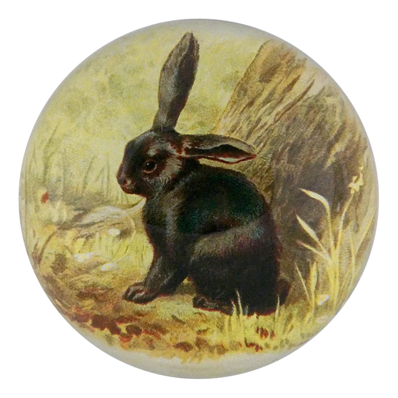 Round glass paperweight with a rabbit design on a grassy background