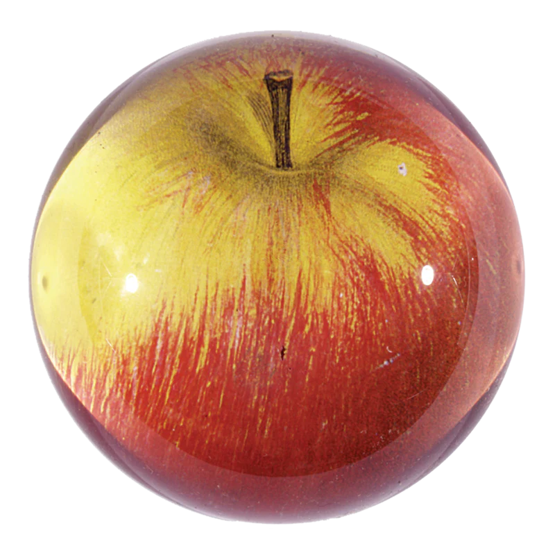 Red and yellow apple on a white background