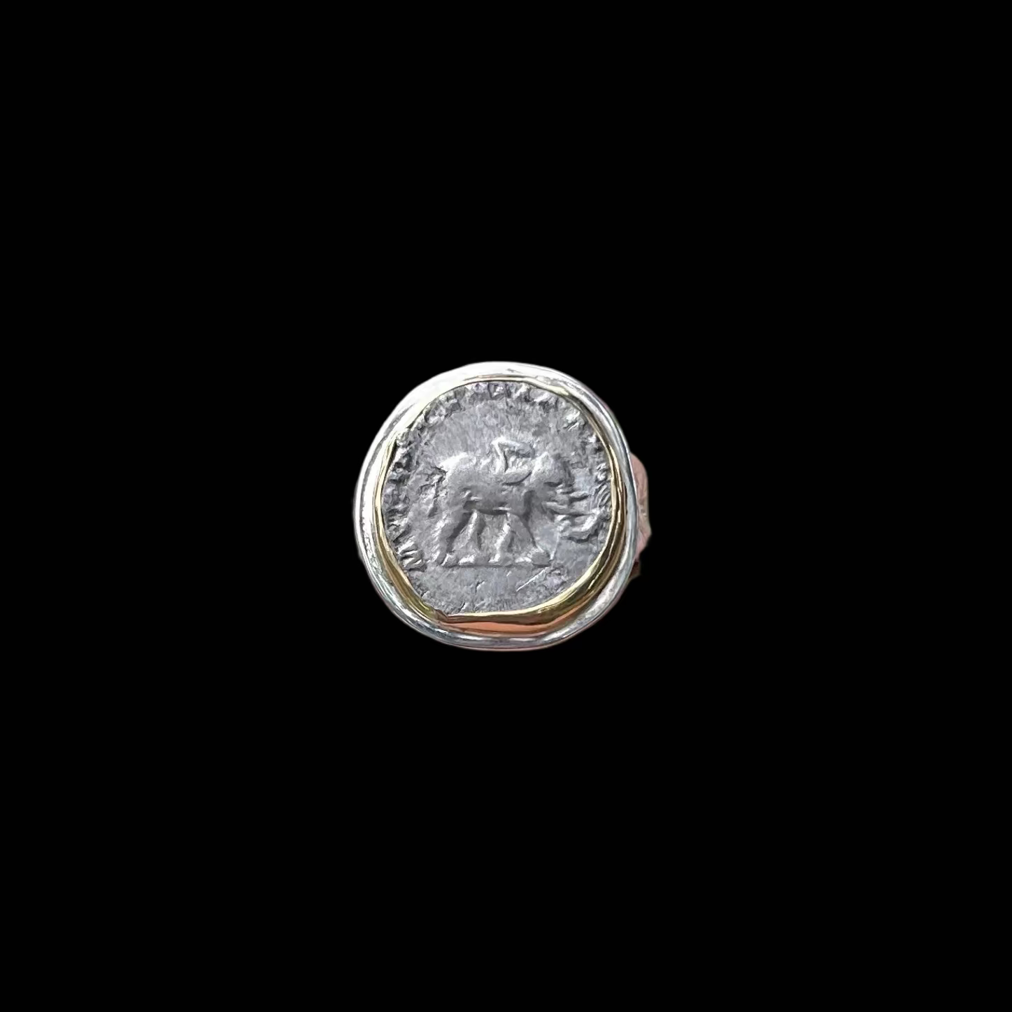 Coin depicting an elephant set in gold shown on black background
