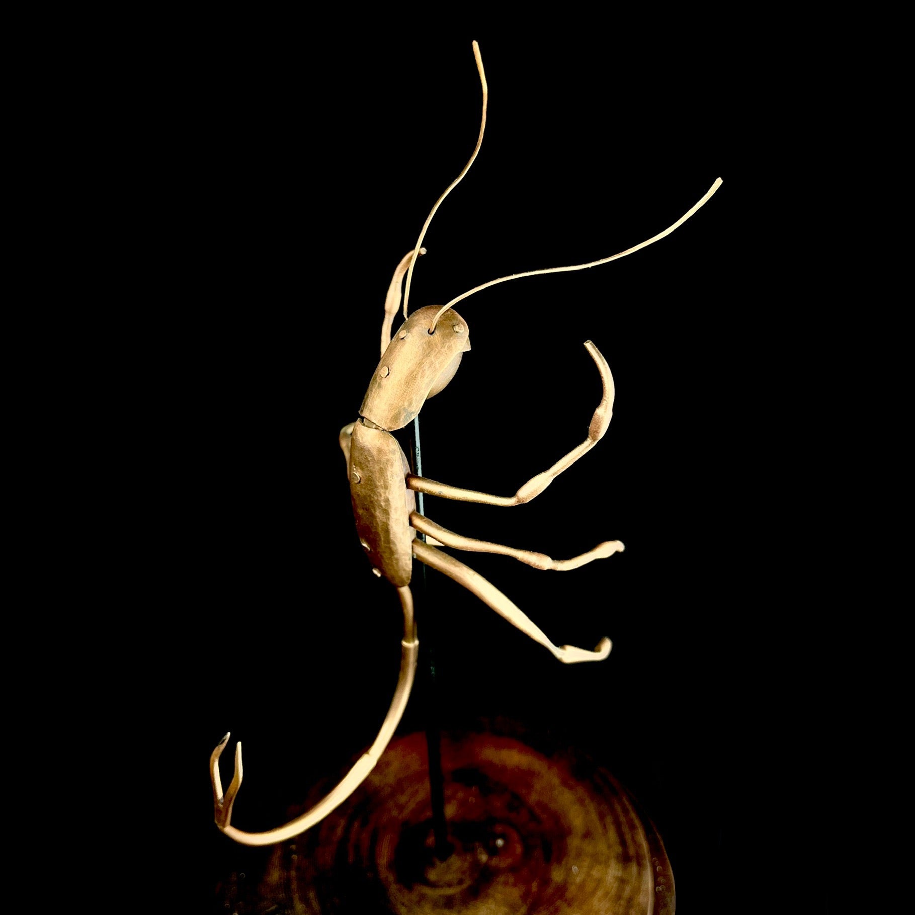 Copper insect-shaped sculpture on a dark background