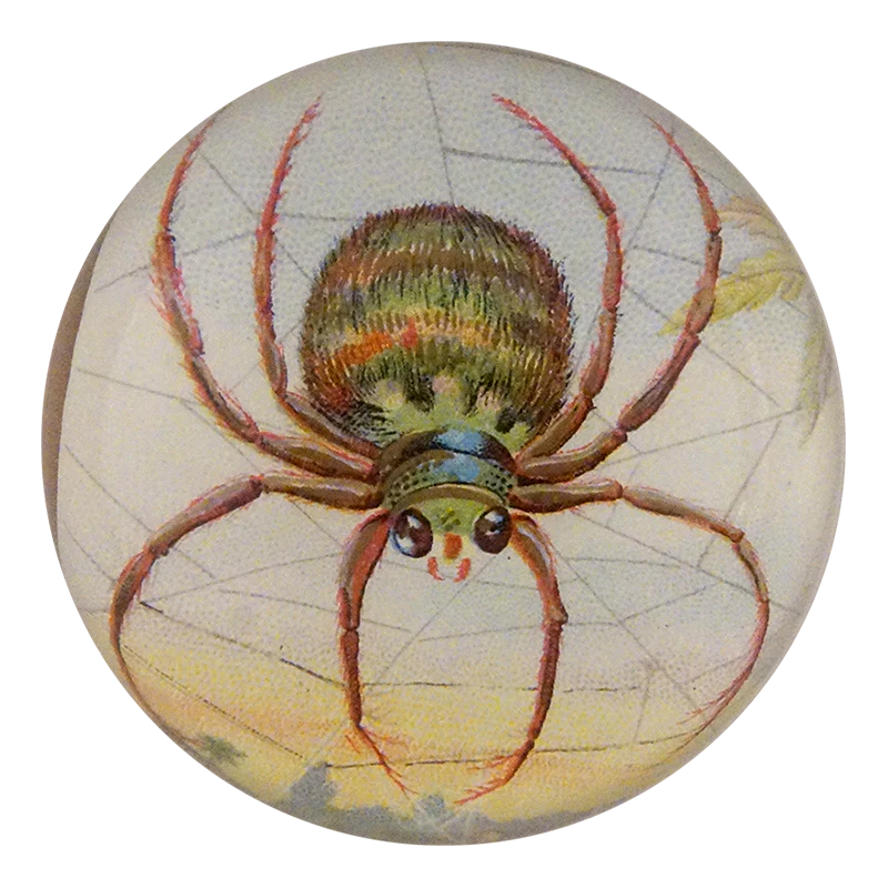 Round object with a spider design on a white background
