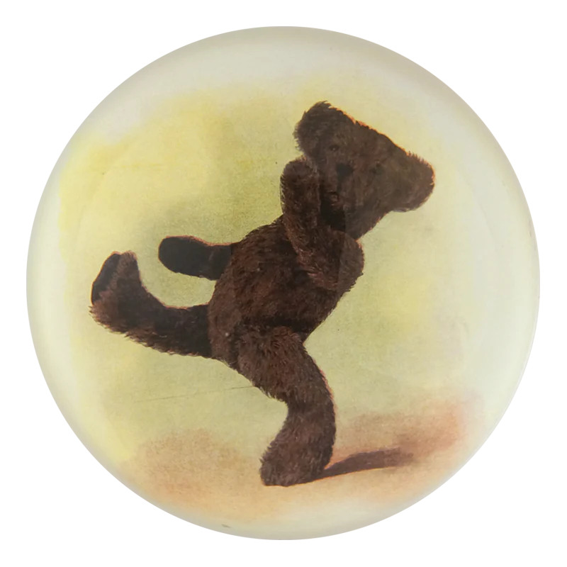 Small brown teddy bear inside a round glass dome on a white background