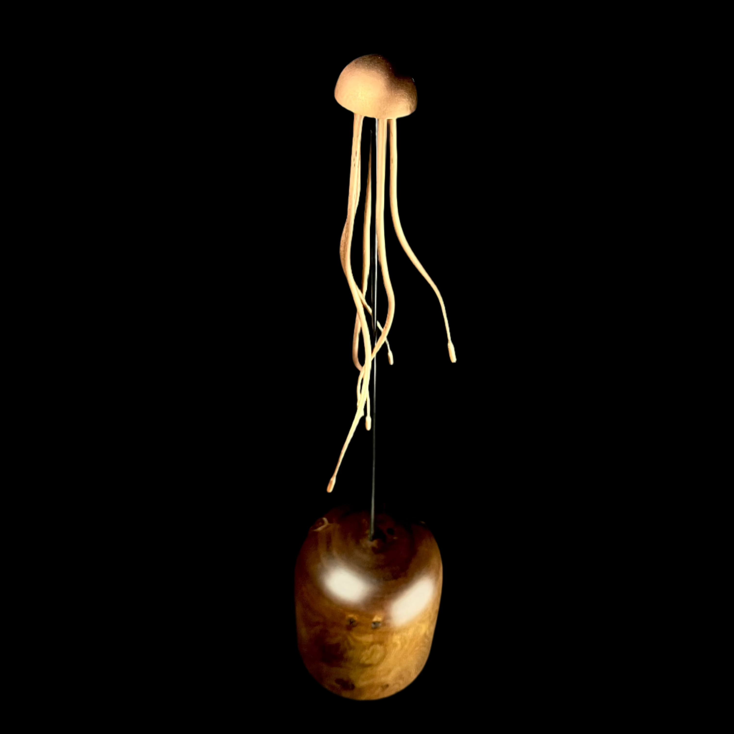 Wooden jellyfish sculpture on a black background