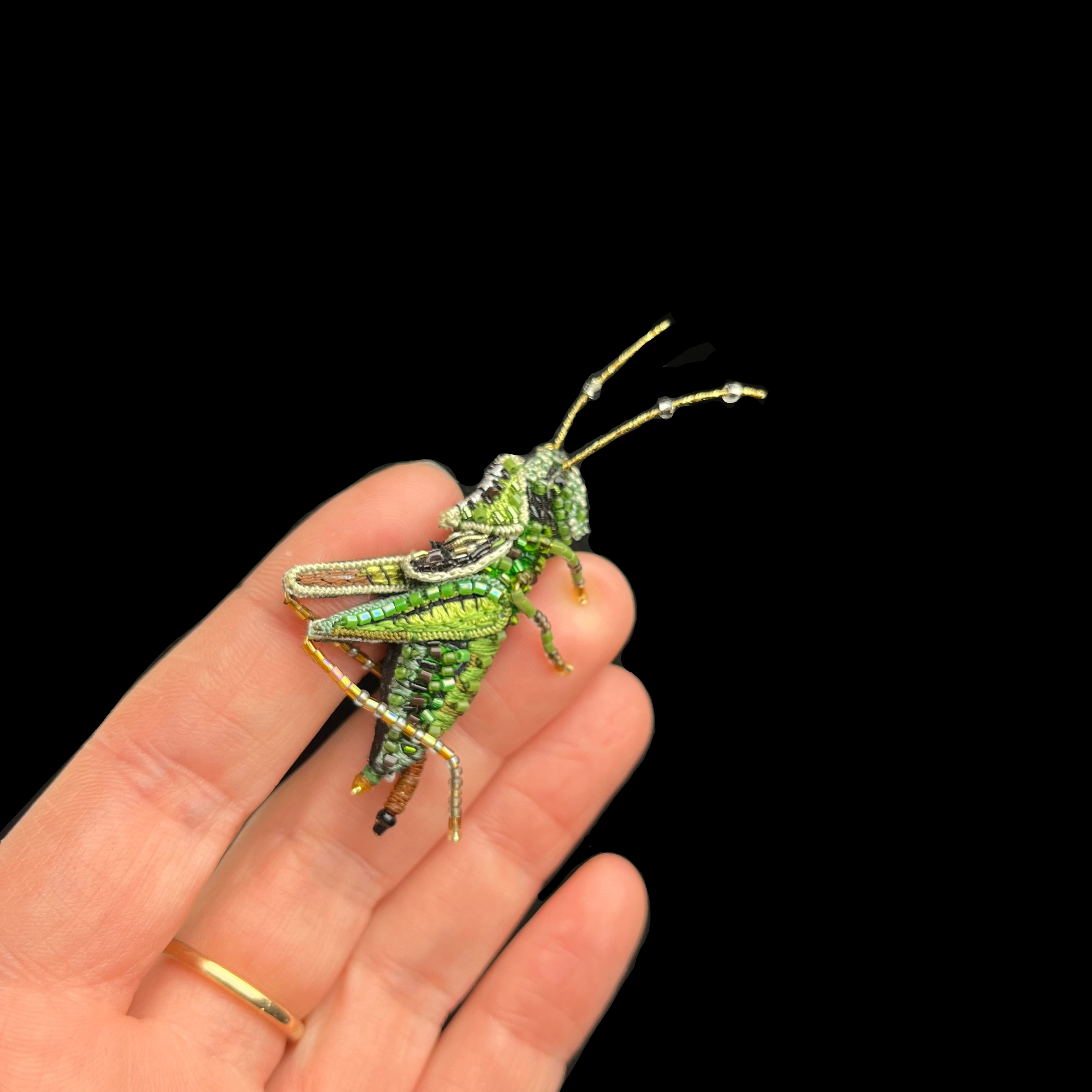 Hand holding a detailed green insect model on a black background