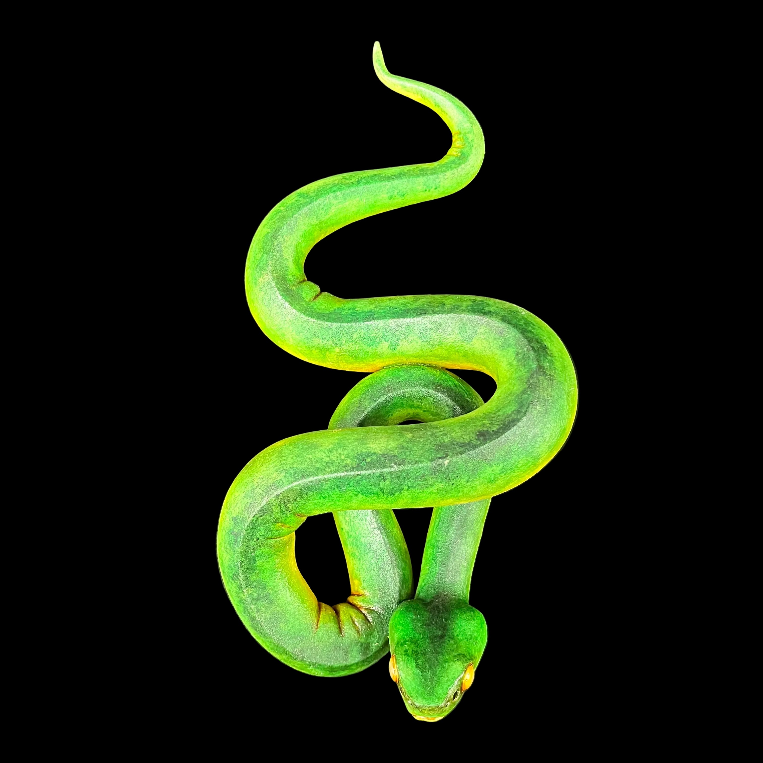 Green snake on a dark gray background
