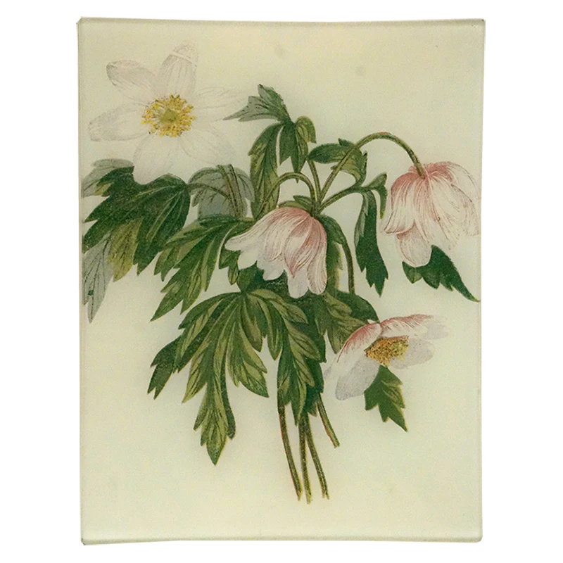 Front of Wood Anemone Flower Tray