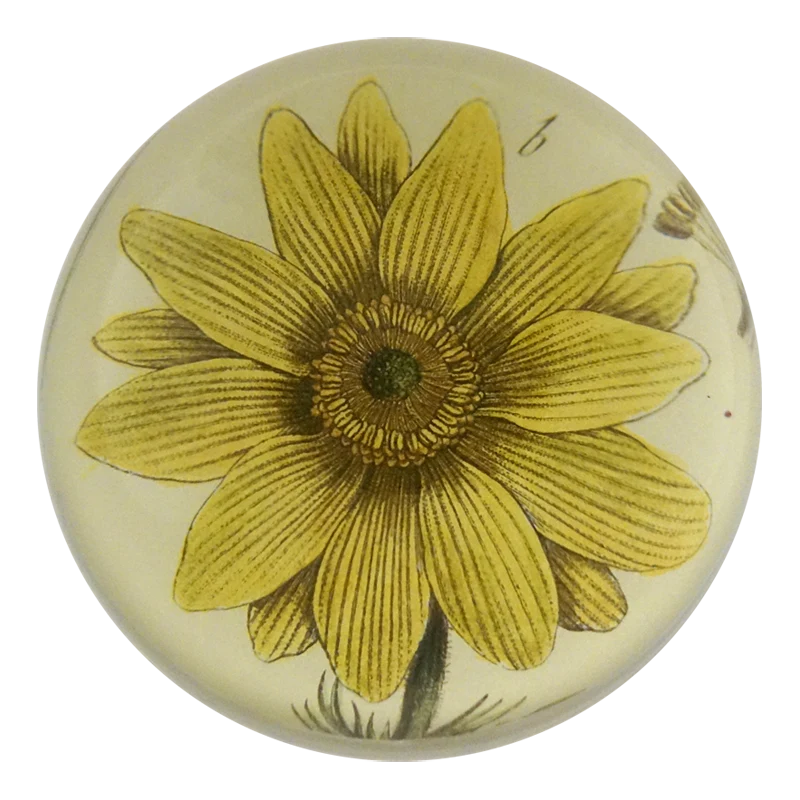 Round ceramic knob with yellow sunflower design on a beige background