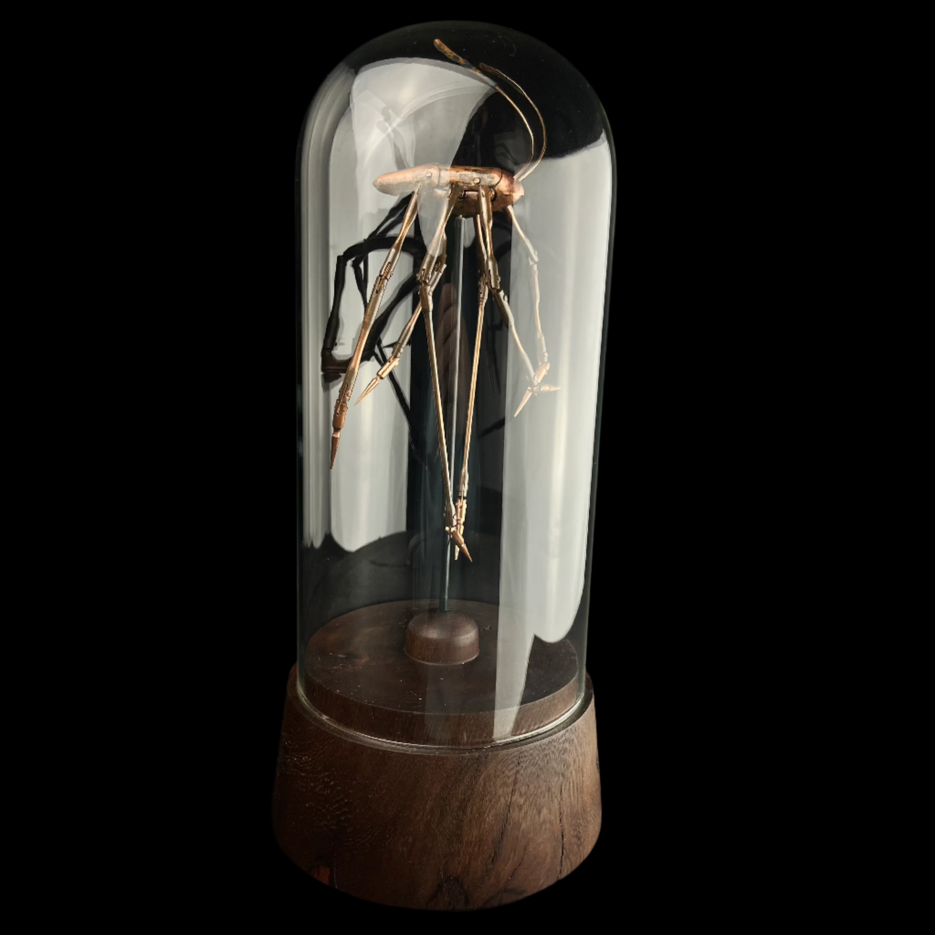 Long legged copper insect in glass dome