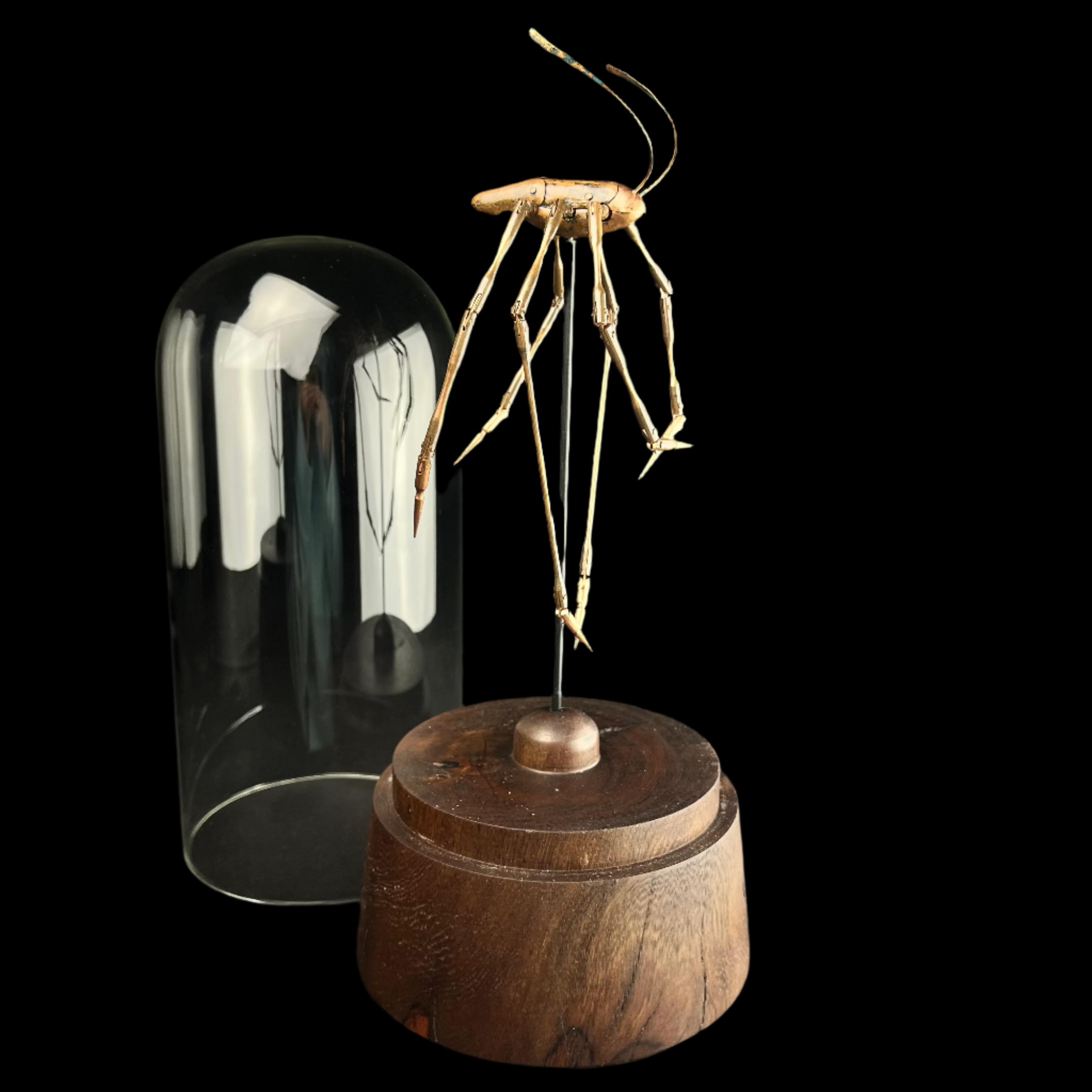 long leg copper insect with glass dome removed