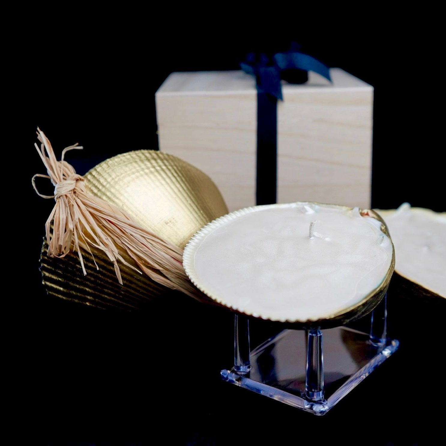 Decorative shell with a candle and gift box on a black background