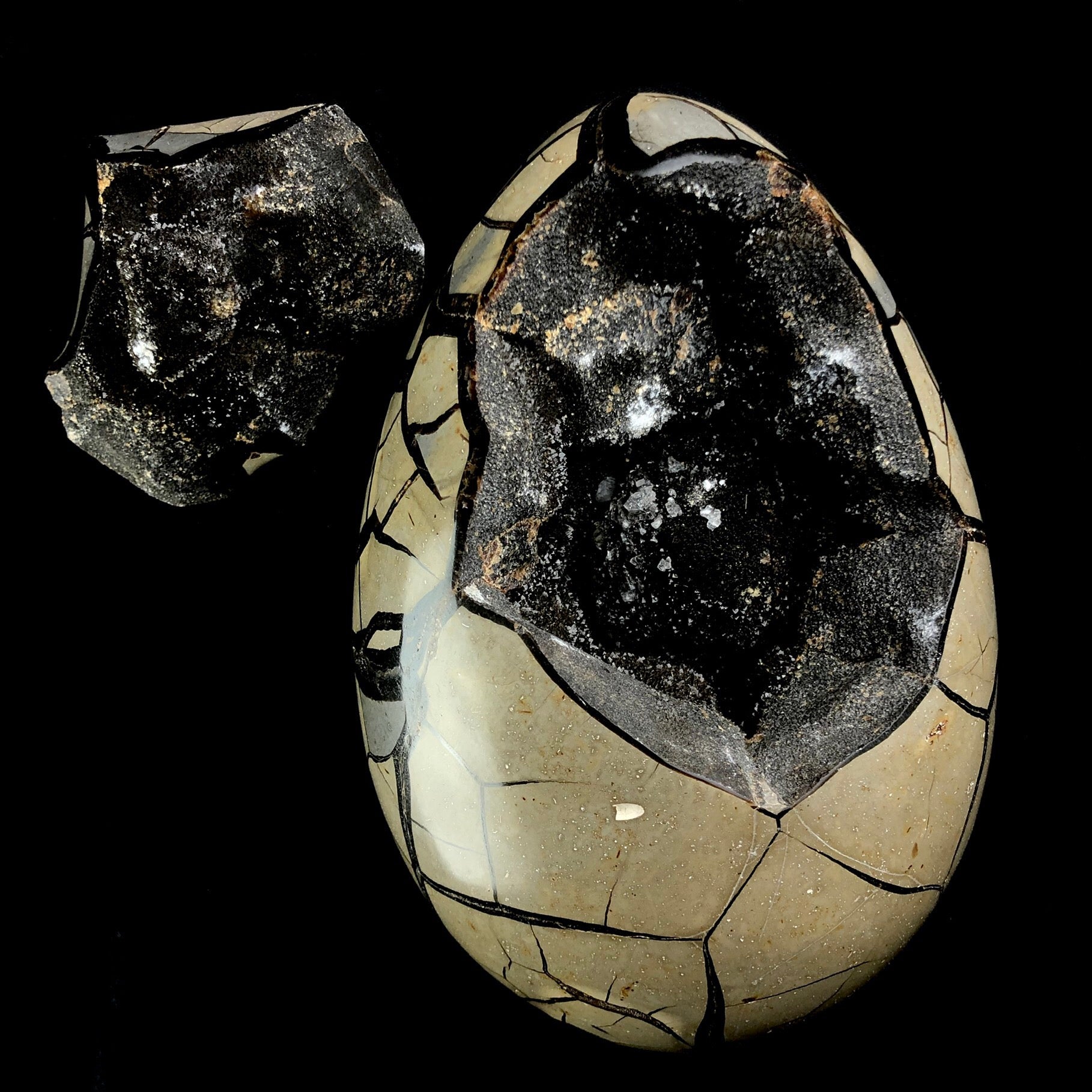 Natural Dragons Egg Septarian Stone Geode