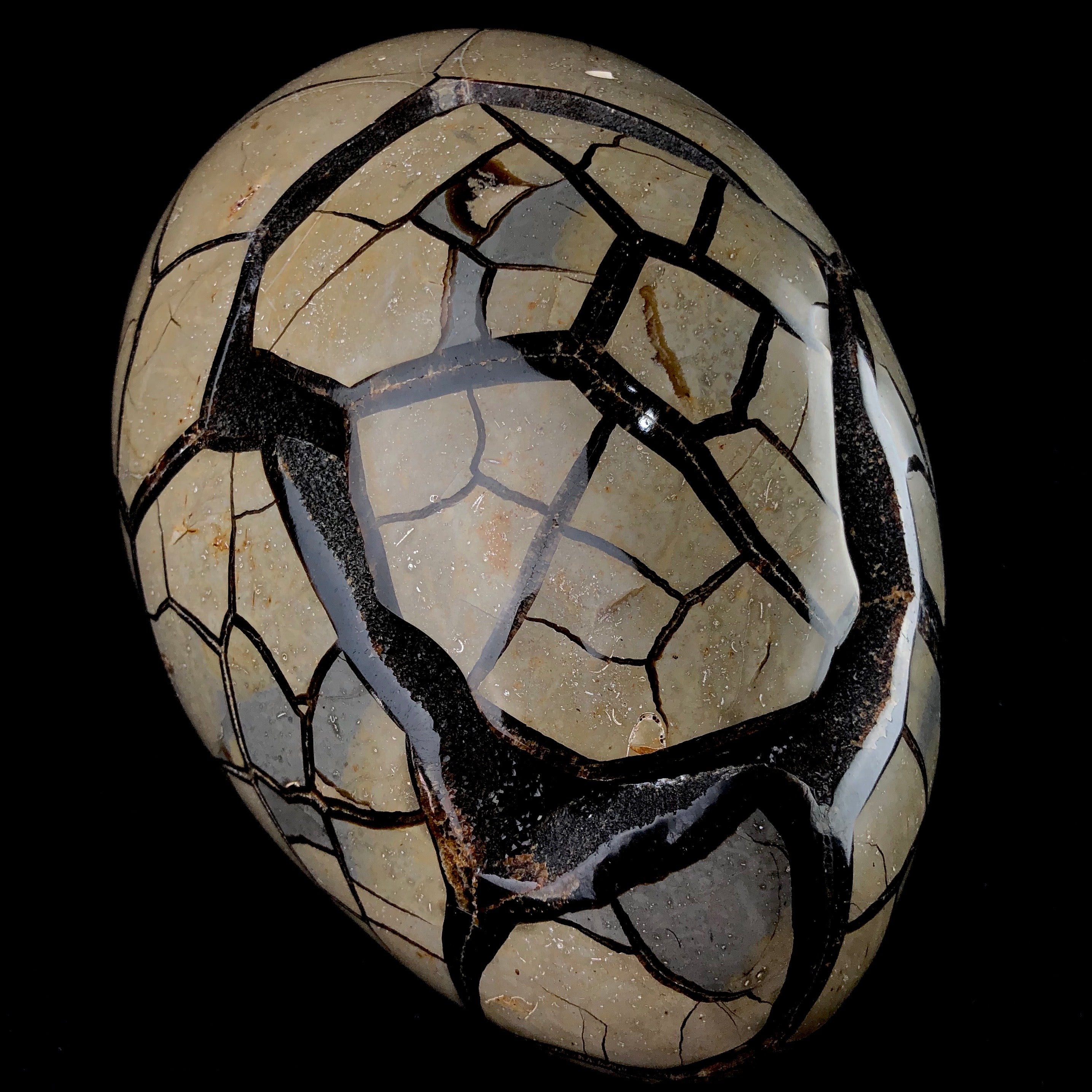 Natural Dragons Egg Septarian Stone Geode
