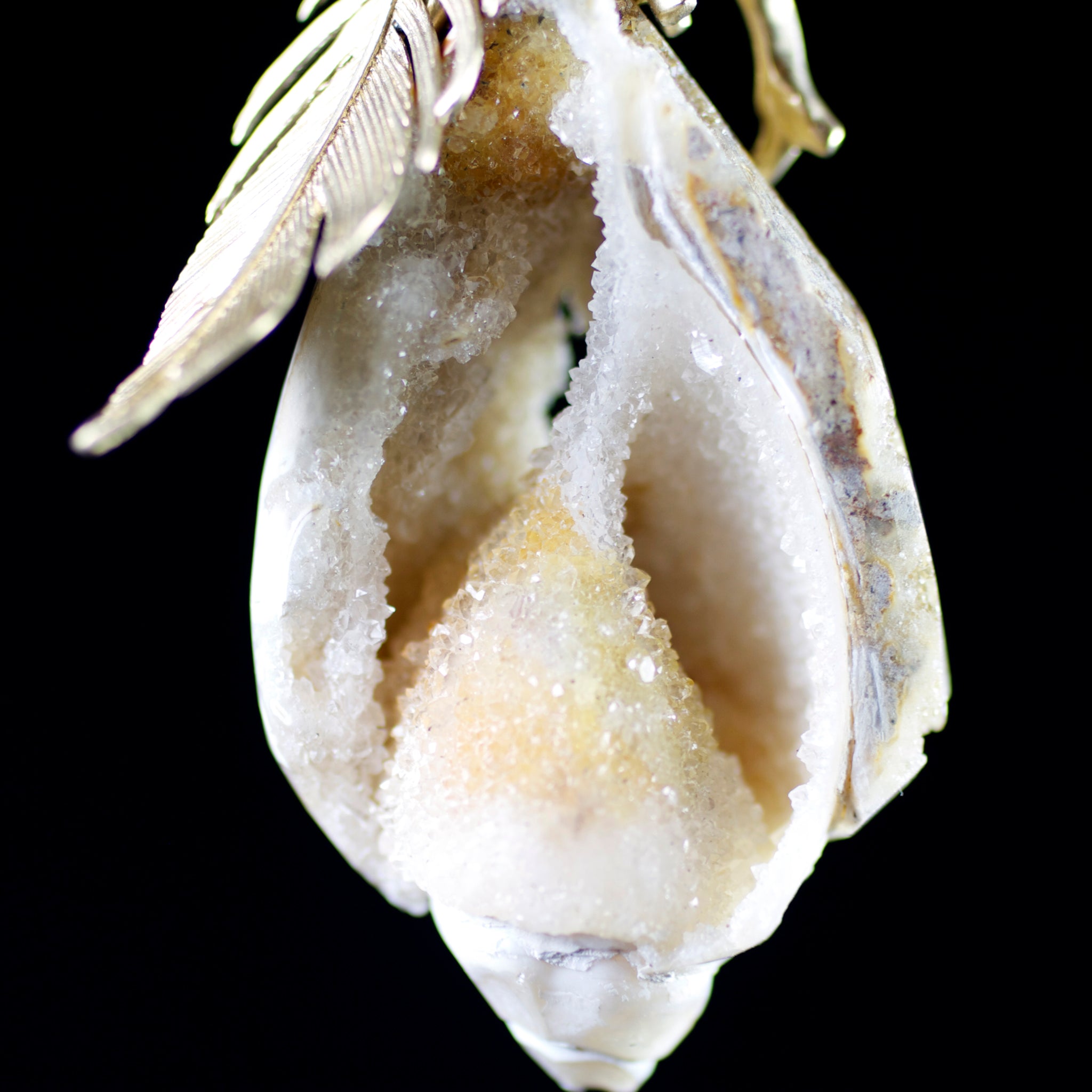 Close up of druzy stone of chambers of shell fossil