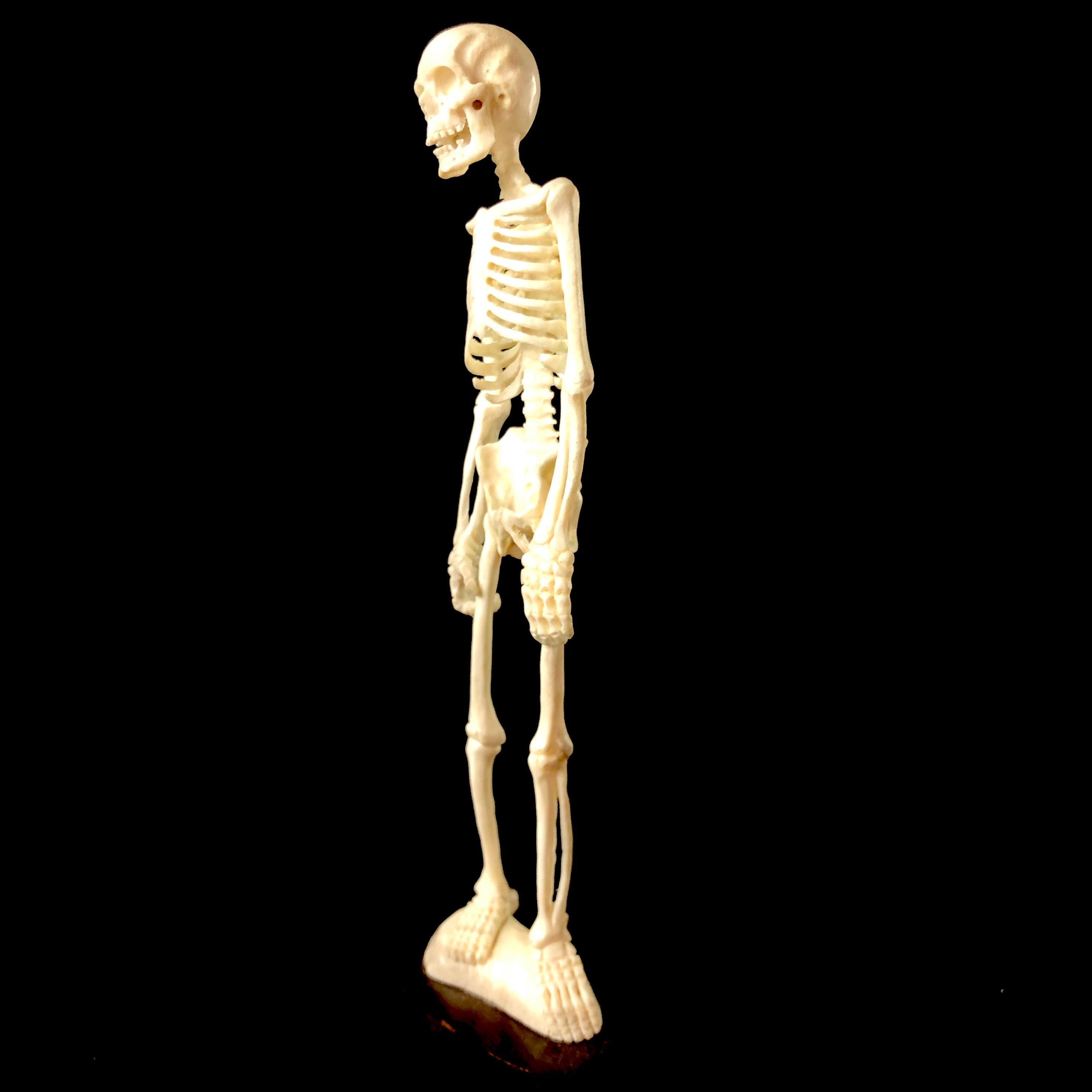 Side view of Standing Skeleton Carving