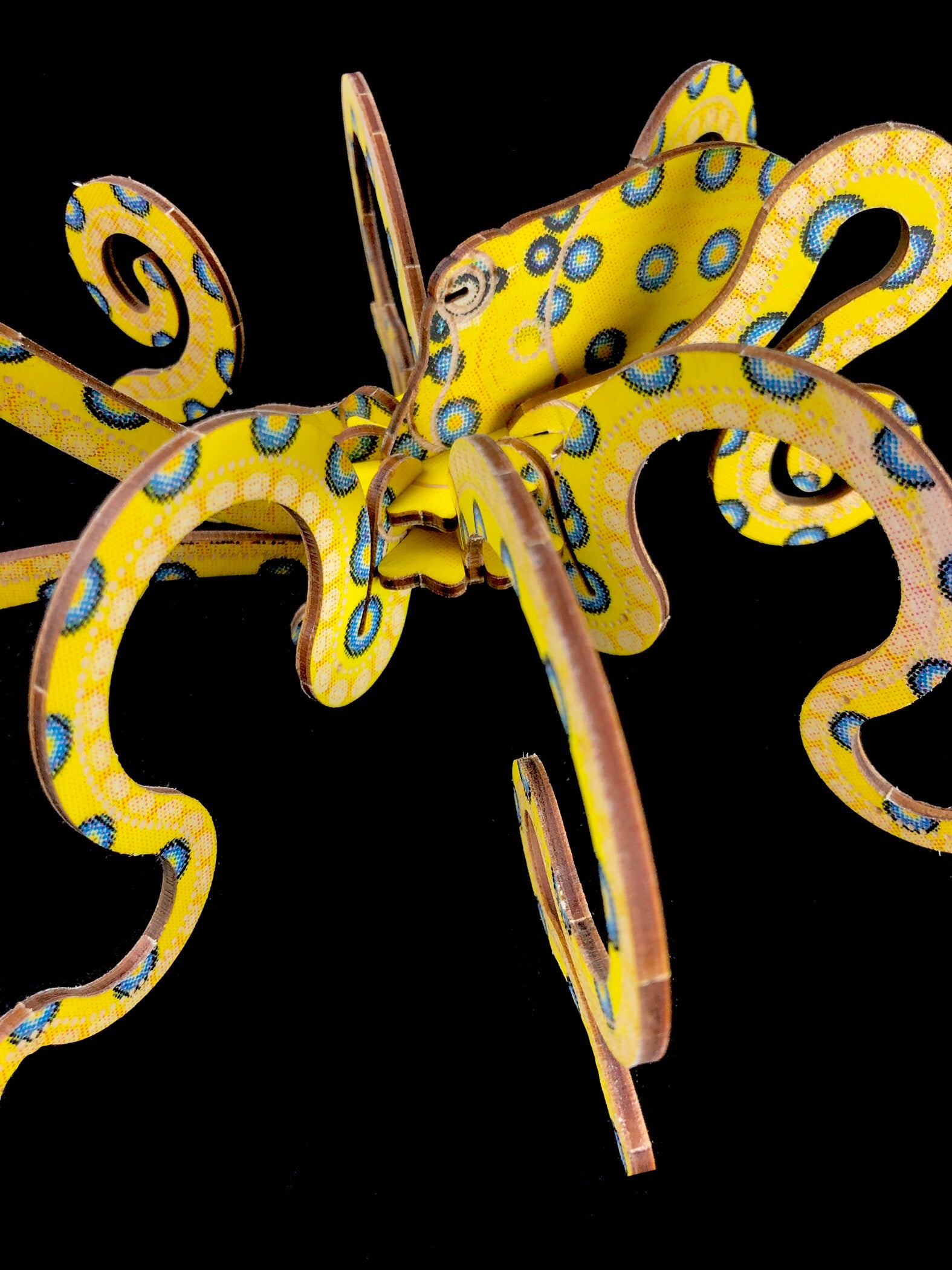 Blue-Ringed Octopus Puzzle