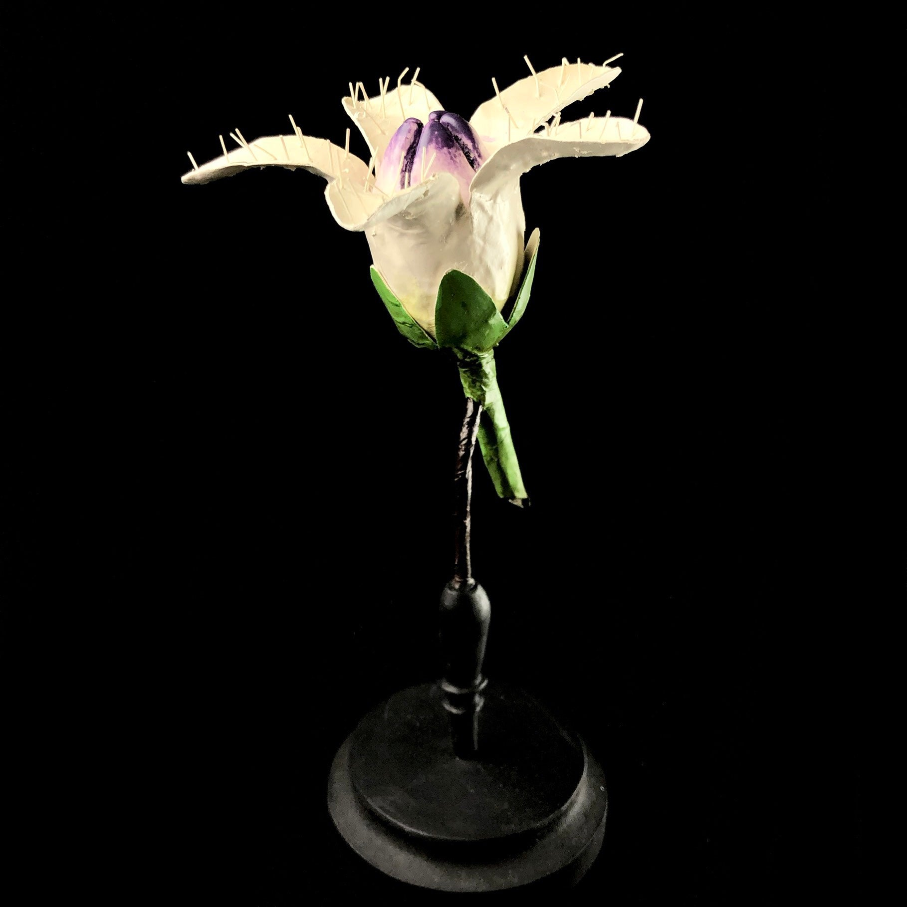 Front view of White Purple Flower Study Model