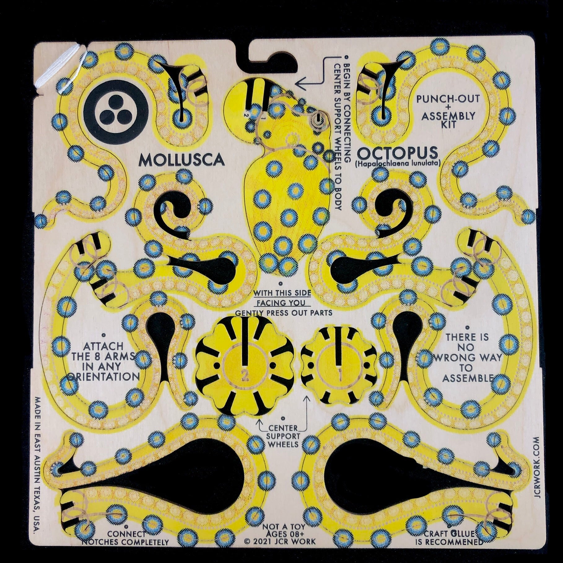 Blue-Ringed Octopus Puzzle