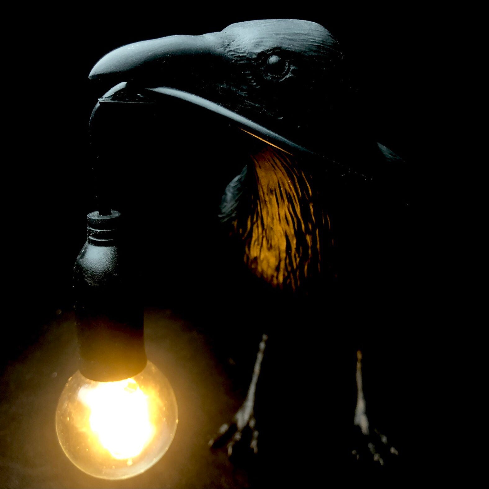 Front view of Raven Lamp