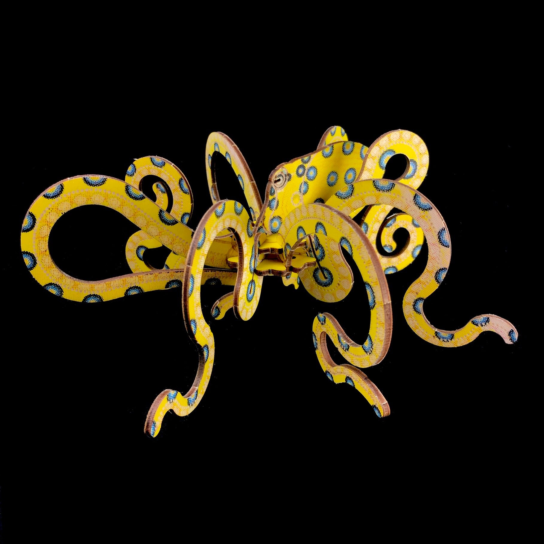 Blue-Ringed Octopus Puzzle