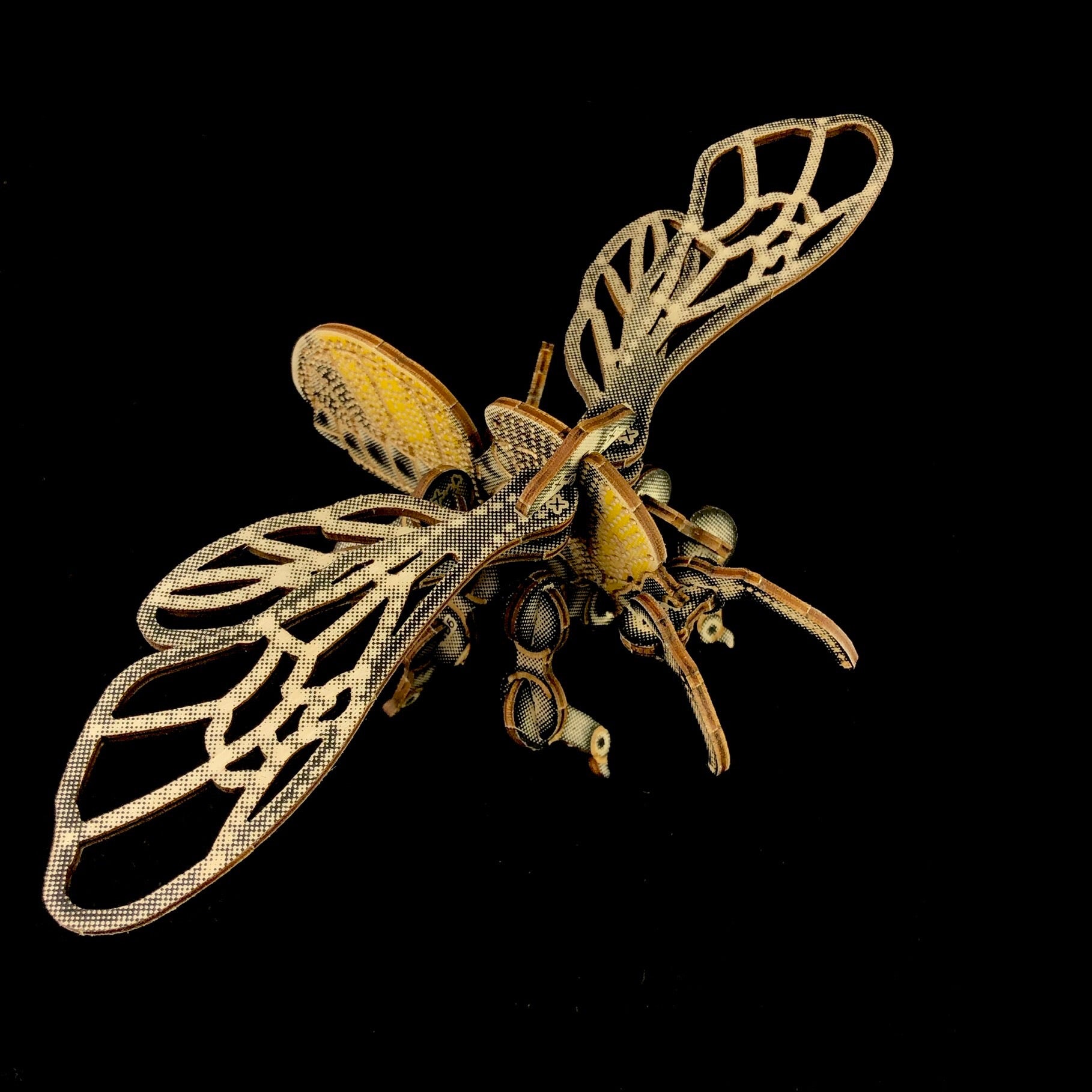 Bumblebee Puzzle Model