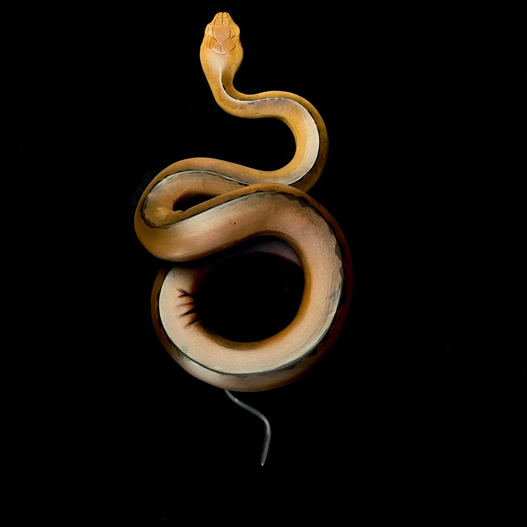 Front view of Brown Wall Hanging Snake Sculpture