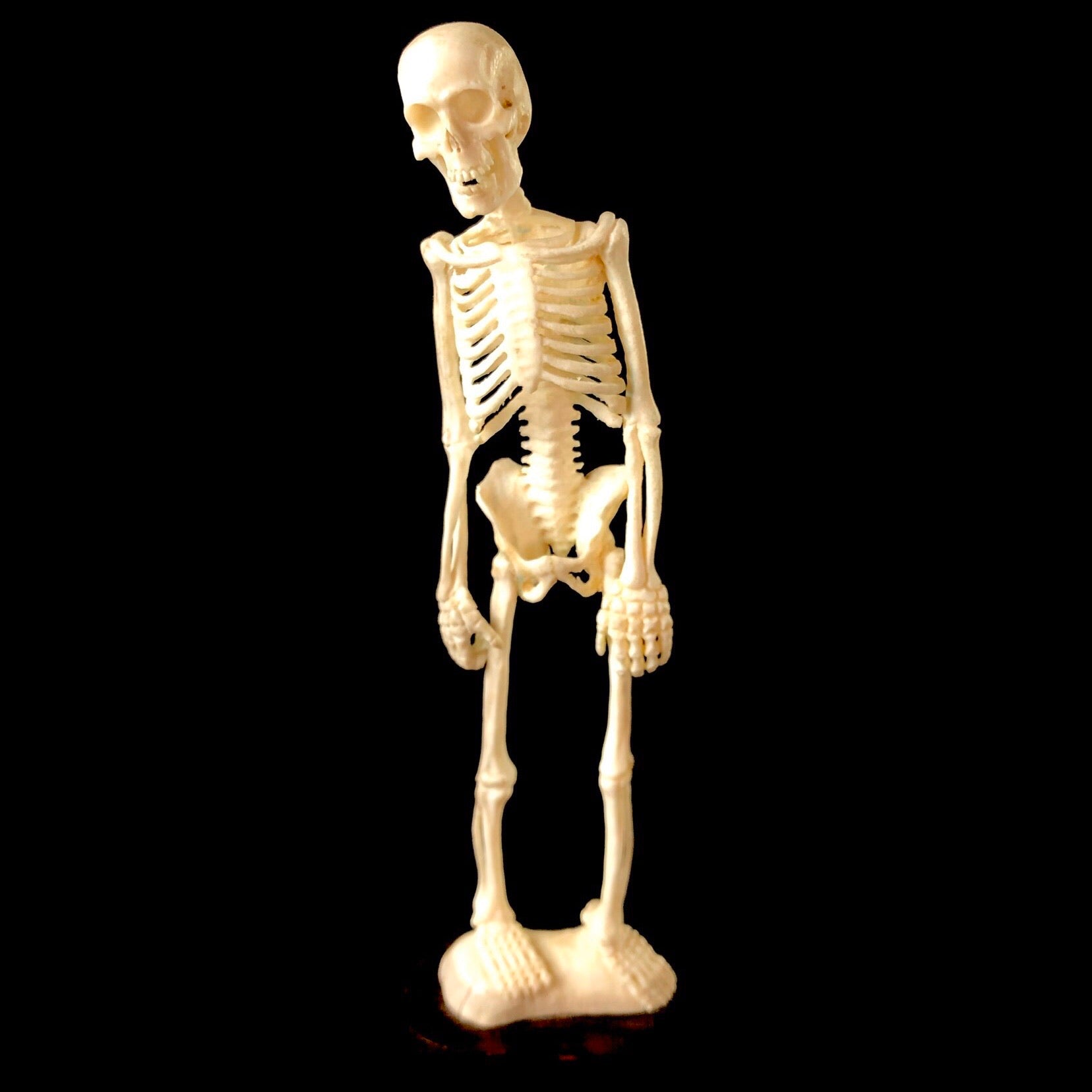 Front view of Standing Skeleton Carving
