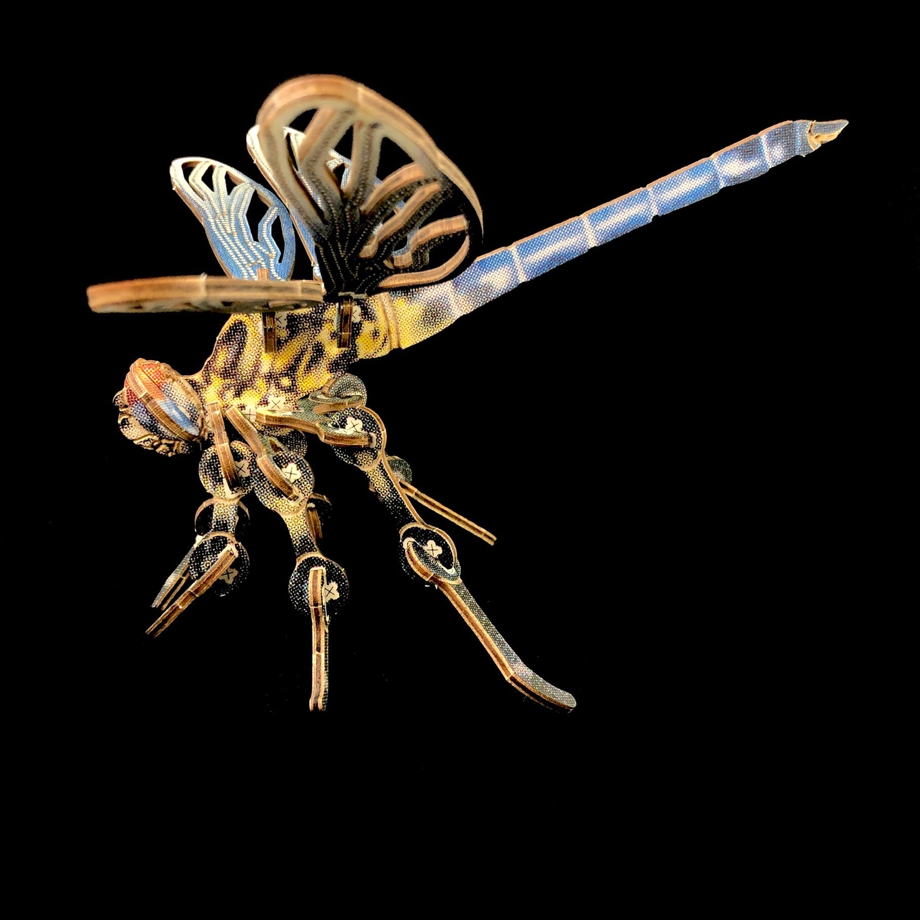 Dragonfly Puzzle Model